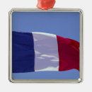 Zoek naar franse vlag ornamenten Patriottisch