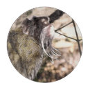 Recherche de singe planches à découper Animaux