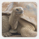 Recherche de larmes autocollants Visage