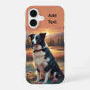 Recherche de de border collie électronique Berger