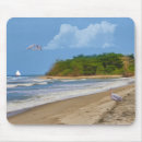 Recherche de plage tapis souris Animaux
