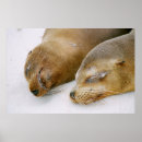 Recherche de île autres Nature