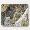 Recherche de hibou à cornes tapis souris Oiseaux