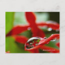 Recherche de gouttes pluie cartes postales Vert