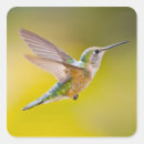Zoek naar zijaanzicht stickers Vogel