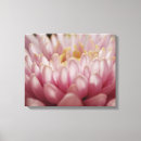 Zoek naar sluit canvas prints Macro