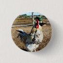 Recherche de volaille badges Ferme