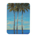 Recherche de palmiers tropicaux magnets Botanique