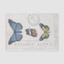 Recherche de illustration scientifique cartes postales Français