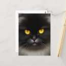 Zoek naar halloween cat briefkaarten Huisdier