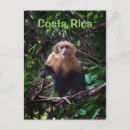 Recherche de rica cartes postales Voyage