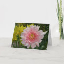 Recherche de gerber rose vœux cartes Jardin