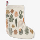 Recherche de cactus de noël Plantes