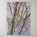 Zoek naar kersenboom posters Roze bloesems