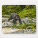 Recherche de ours noir tapis souris Forêt