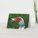 Recherche de quackers vœux cartes Nature