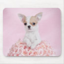 Recherche de chiwawa tapis souris Drôle