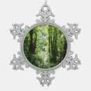 Recherche de forêt tropicale ornements Nature