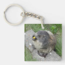 Zoek naar marmotten sleutelhangers Schattig