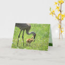 Zoek naar kuiken kaarten Chick