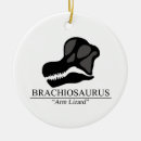 Recherche de fossiles ornements Dinosaures