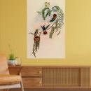 Recherche de john gould posters Colibri