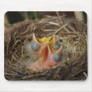 Recherche de nouveau né tapis souris Simple