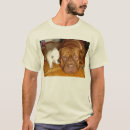 Recherche de aspca Chien
