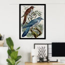 Zoek naar koekoeken posters Vogel