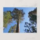 Recherche de mariposa cartes postales Californie