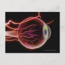 Recherche de oeil humain cartes postales Partie