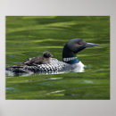 Recherche de responsabilité posters Comportement