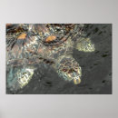 Zoek naar zanzibar kunst Oceaan