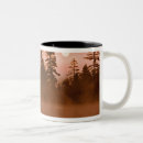 Recherche de roseaux tasses Personne