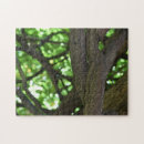 Recherche de industrie puzzles Nature