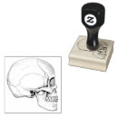 Recherche de halloween vintage loisirs créatifs Crâne