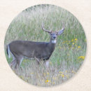Recherche de buck dessous de verres Cerf