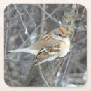 Recherche de moineau dessous de verres Faune