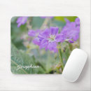Recherche de pourpre fleur tapis souris Botanique