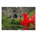 Recherche de cardiff posters Douve
