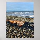 Recherche de seaside posters Océan