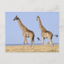 Recherche de namibie cartes postales Horizontal