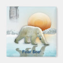 Recherche de espèces magnets Ours polaire