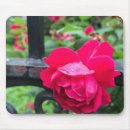 Recherche de pluie tapis souris Rose