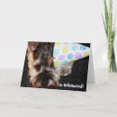 Recherche de schnauzer miniature vœux cartes d'anniversaire