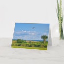 Zoek naar van de keerkringen briefkaarten Kust