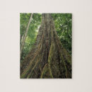 Recherche de rica puzzles Ie