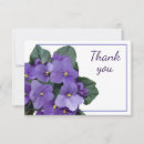 Recherche de violettes africaines vœux cartes Floral