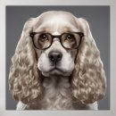 Recherche de de cocker art Spaniel américain