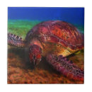 Zoek naar zee tegels Schildpad